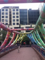 /album/galerie-photos/img-0065-jpg/