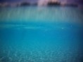 /album/le-lagoon/file0093-jpg/