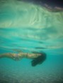 /album/le-lagoon/file0118-jpg/